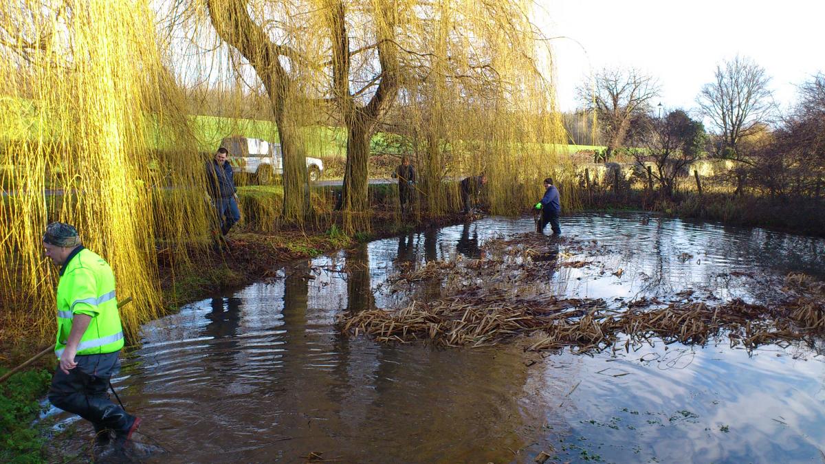 Clearing the pond